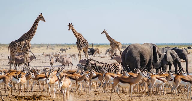 Namibia